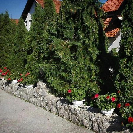 Bozovic Mv Apartments Zlatibor Exteriör bild