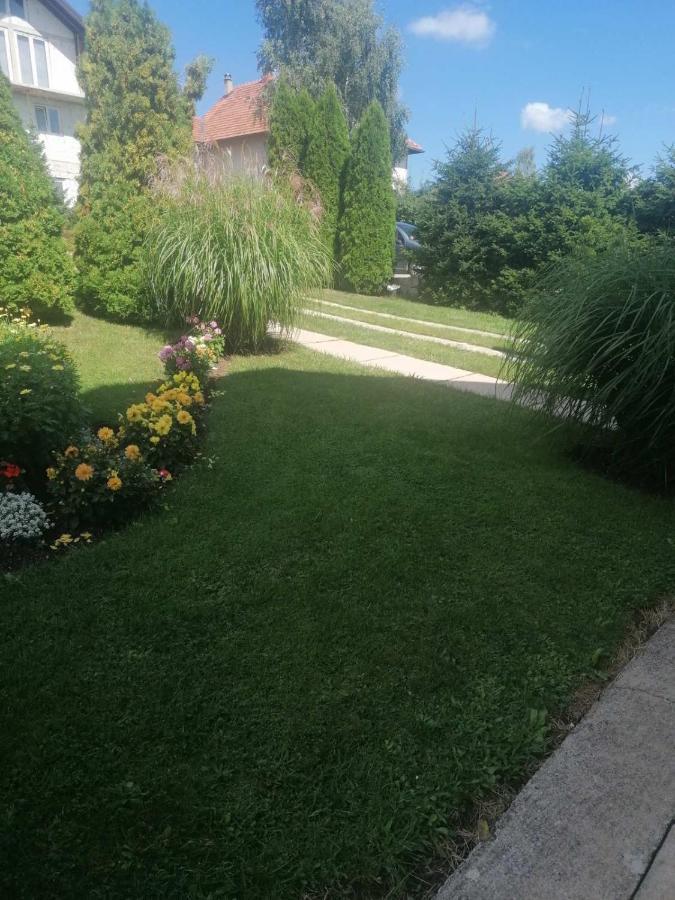 Bozovic Mv Apartments Zlatibor Exteriör bild